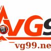 VG99 – VIETNAM